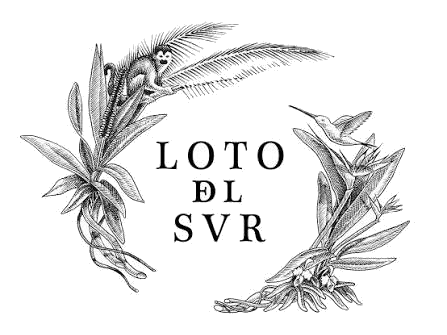 Loto del Sur